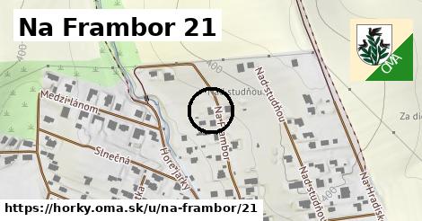 Na Frambor 21, Hôrky