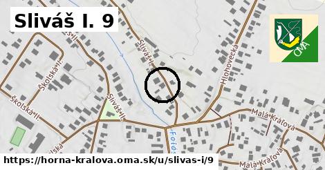 Sliváš I. 9, Horná Kráľová