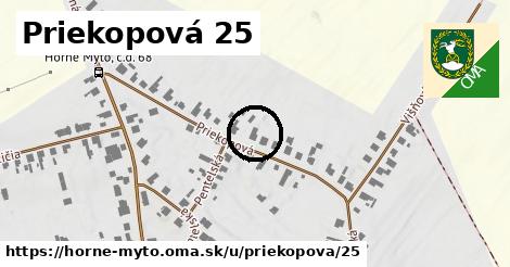 Priekopová 25, Horné Mýto