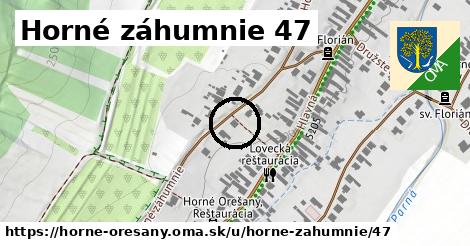 Horné záhumnie 47, Horné Orešany