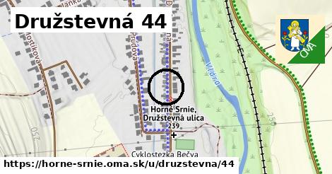 Družstevná 44, Horné Srnie