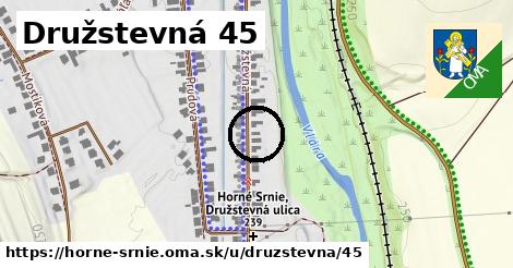 Družstevná 45, Horné Srnie