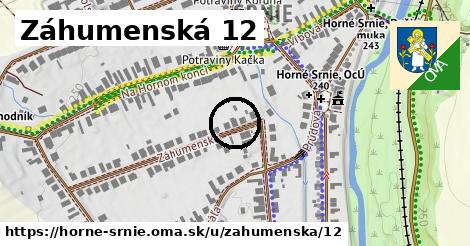 Záhumenská 12, Horné Srnie