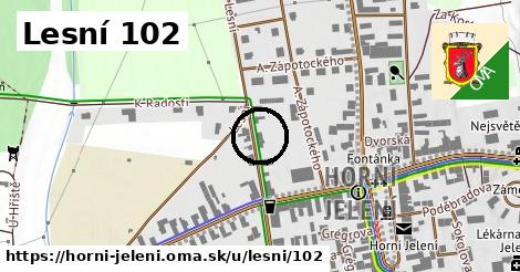 Lesní 102, Horní Jelení