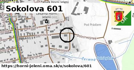 Sokolova 601, Horní Jelení