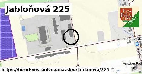 Jabloňová 225, Horní Věstonice