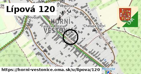 Lípová 120, Horní Věstonice