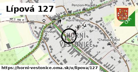 Lípová 127, Horní Věstonice