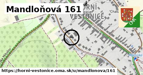 Mandloňová 161, Horní Věstonice