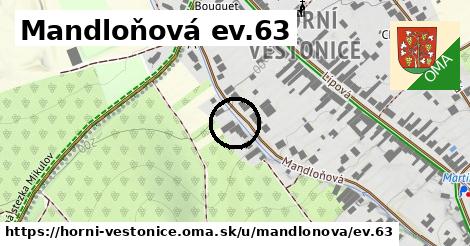 Mandloňová ev.63, Horní Věstonice