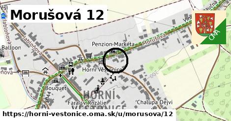 Morušová 12, Horní Věstonice