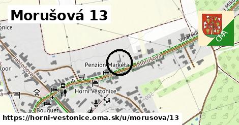 Morušová 13, Horní Věstonice