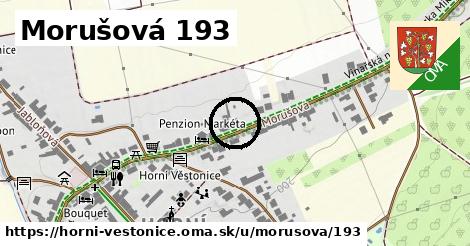 Morušová 193, Horní Věstonice