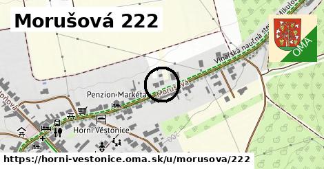 Morušová 222, Horní Věstonice