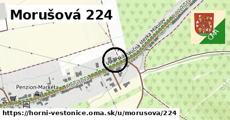 Morušová 224, Horní Věstonice