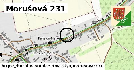 Morušová 231, Horní Věstonice