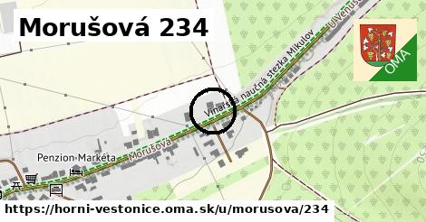 Morušová 234, Horní Věstonice