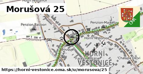 Morušová 25, Horní Věstonice