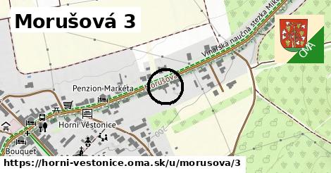 Morušová 3, Horní Věstonice