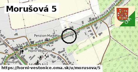 Morušová 5, Horní Věstonice