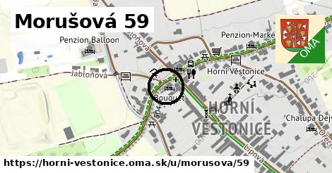 Morušová 59, Horní Věstonice