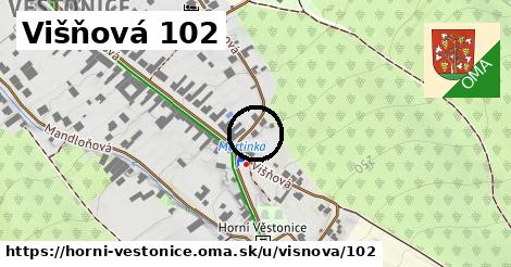 Višňová 102, Horní Věstonice