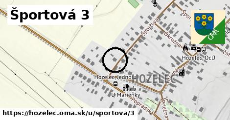 Športová 3, Hozelec