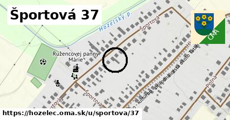 Športová 37, Hozelec