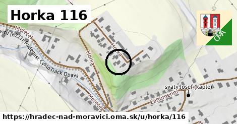 Horka 116, Hradec nad Moravicí