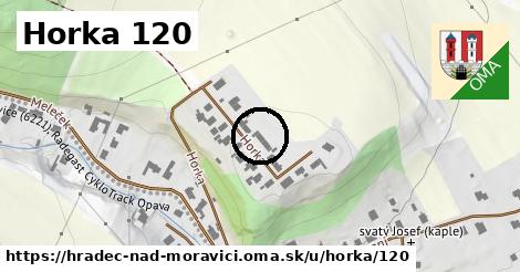 Horka 120, Hradec nad Moravicí
