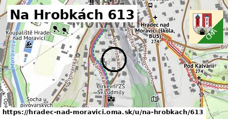 Na Hrobkách 613, Hradec nad Moravicí