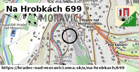 Na Hrobkách 699, Hradec nad Moravicí