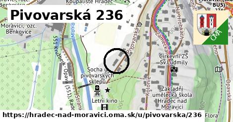 Pivovarská 236, Hradec nad Moravicí