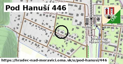 Pod Hanuší 446, Hradec nad Moravicí