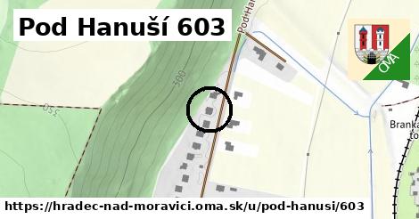 Pod Hanuší 603, Hradec nad Moravicí