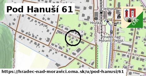 Pod Hanuší 61, Hradec nad Moravicí