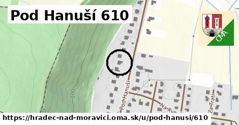 Pod Hanuší 610, Hradec nad Moravicí