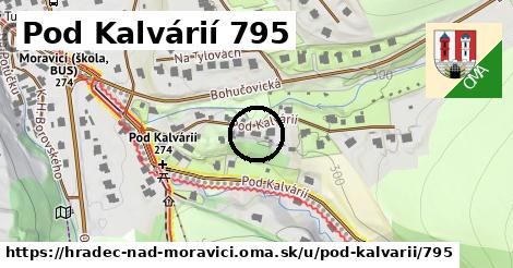 Pod Kalvárií 795, Hradec nad Moravicí