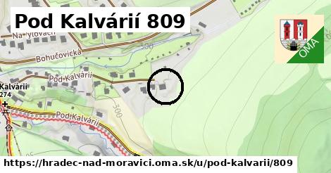 Pod Kalvárií 809, Hradec nad Moravicí