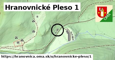 Hranovnické Pleso 1, Hranovnica