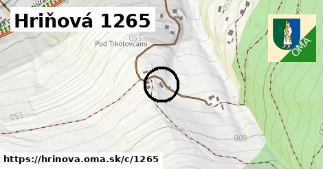 Hriňová <span class="supisne">1265</span>