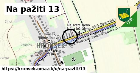 Na pažiti 13, Hronsek