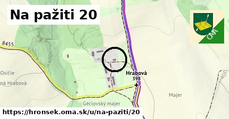 Na pažiti 20, Hronsek