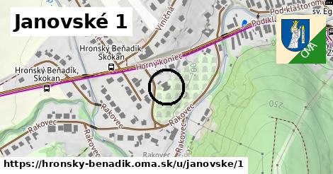 Janovské 1, Hronský Beňadik