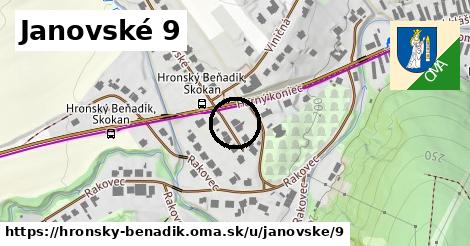 Janovské 9, Hronský Beňadik