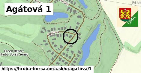 Agátová 1, Hrubá Borša