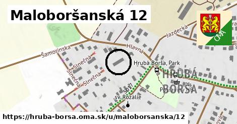 Maloboršanská 12, Hrubá Borša