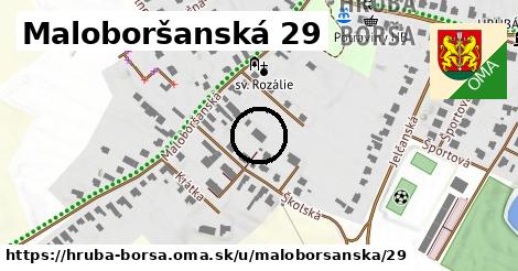 Maloboršanská 29, Hrubá Borša