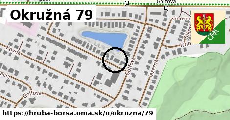 Okružná 79, Hrubá Borša