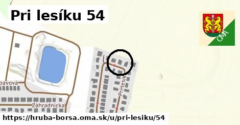 Pri lesíku 54, Hrubá Borša